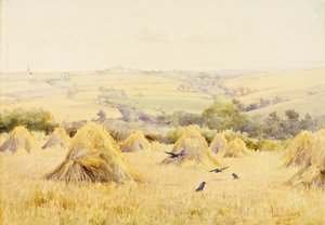 Vue d